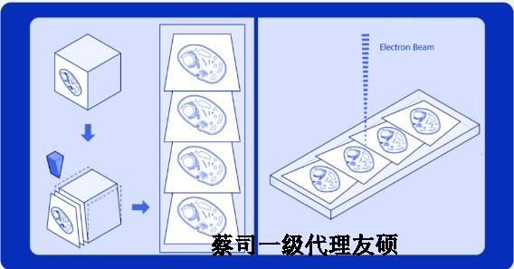 开州蔡司开州扫描电镜