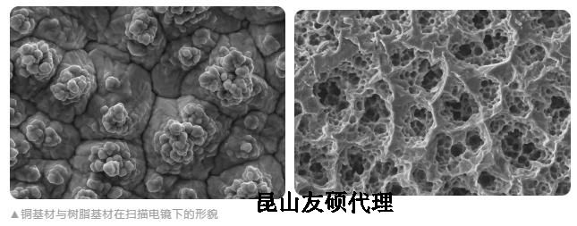 开州蔡司开州扫描电镜