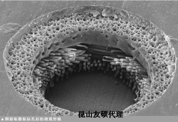 开州蔡司开州扫描电镜